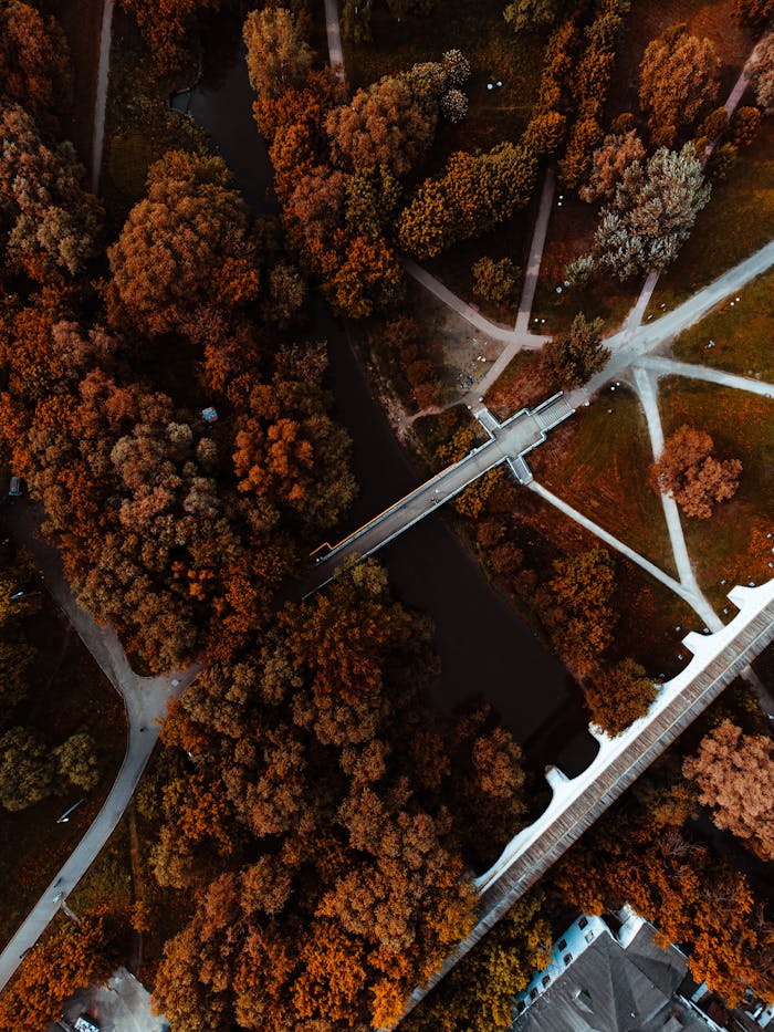 Stunning aerial shot of a bridge crossing a river surrounded by autumnal trees.